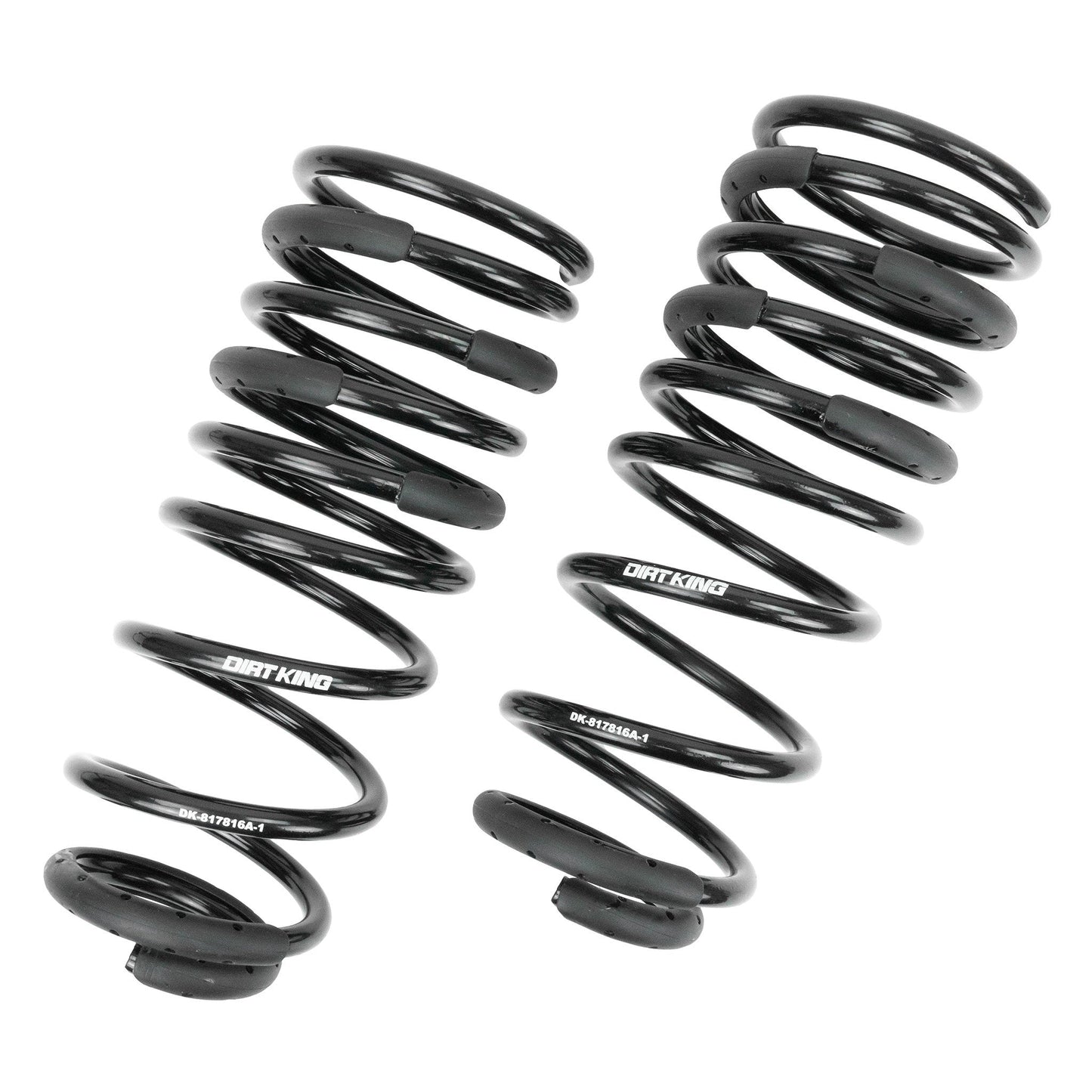 +1" Rear Springs