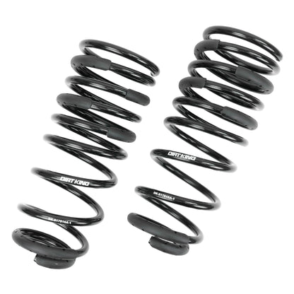 +1" Rear Springs